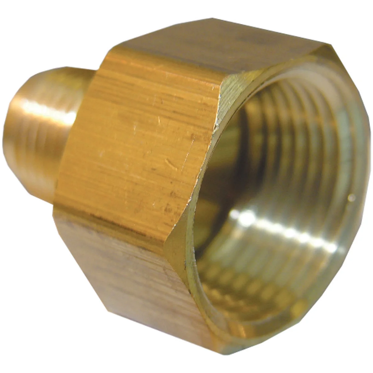Environmentally Friendly Lasco 3 8 In. M x 3 4 In. FPT Brass Flare Adapter Fashionable