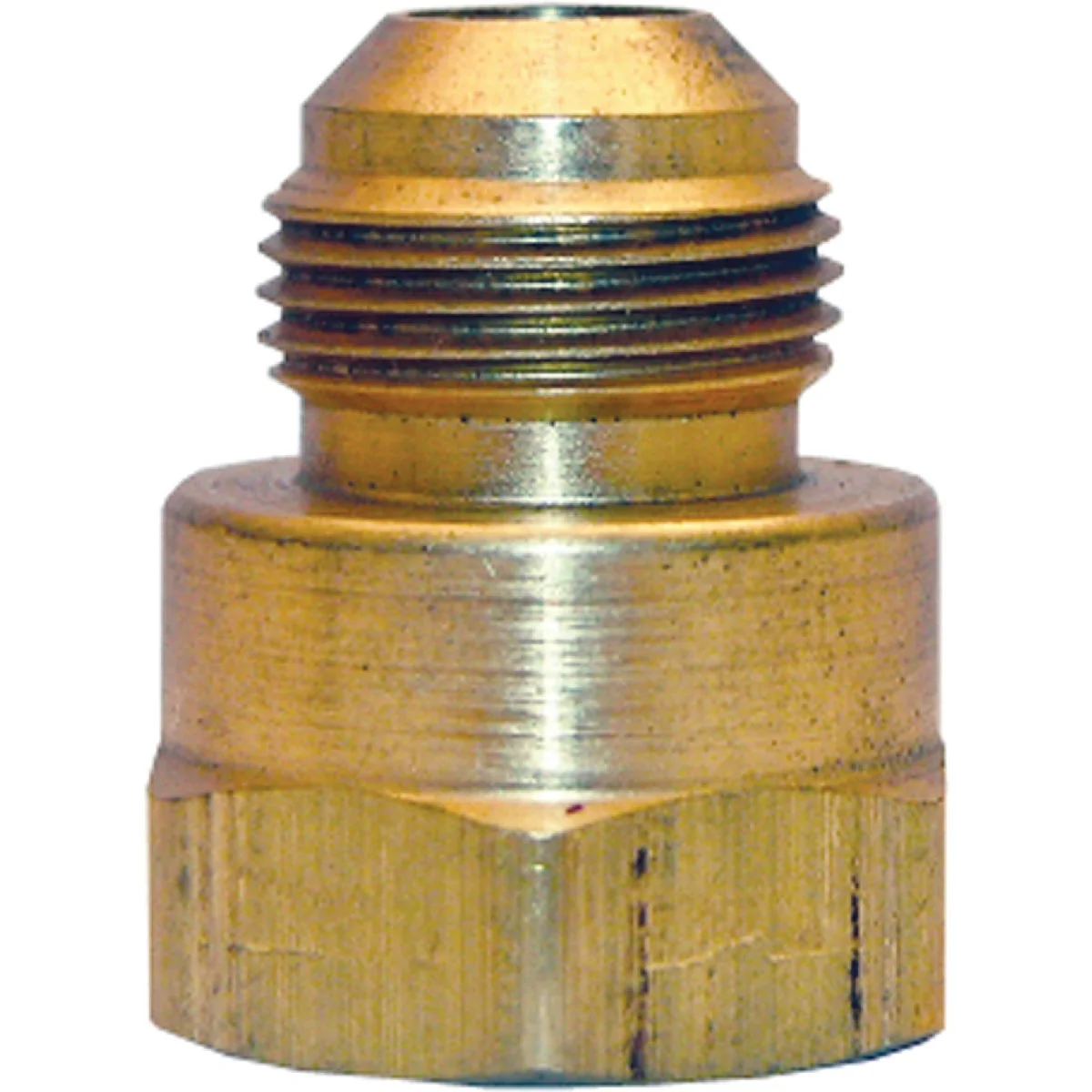 Advanced Lasco 15 16 In. M x 3 4 In. FPT Brass Flare Adapter Reusable