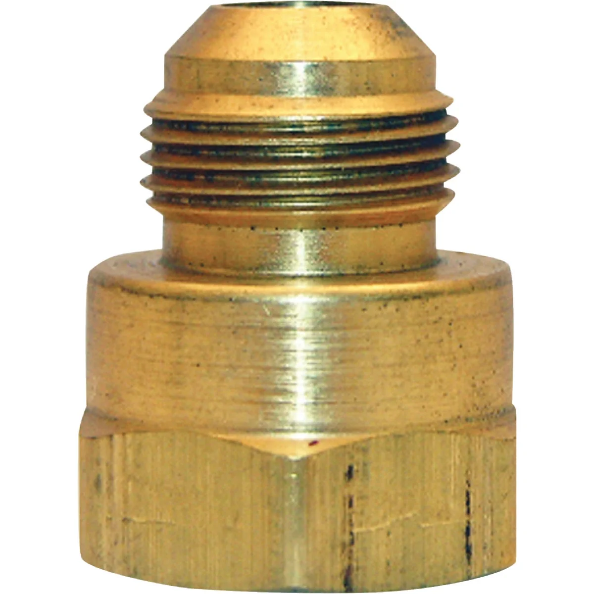 Quality Lasco 15 16 In. M x 1 2 In. FPT Brass Flare Adapter Advanced