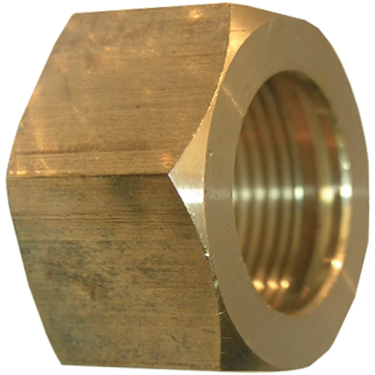 Quality Lasco 3 8 In. Brass Compression Nut 2-Pack Excellent