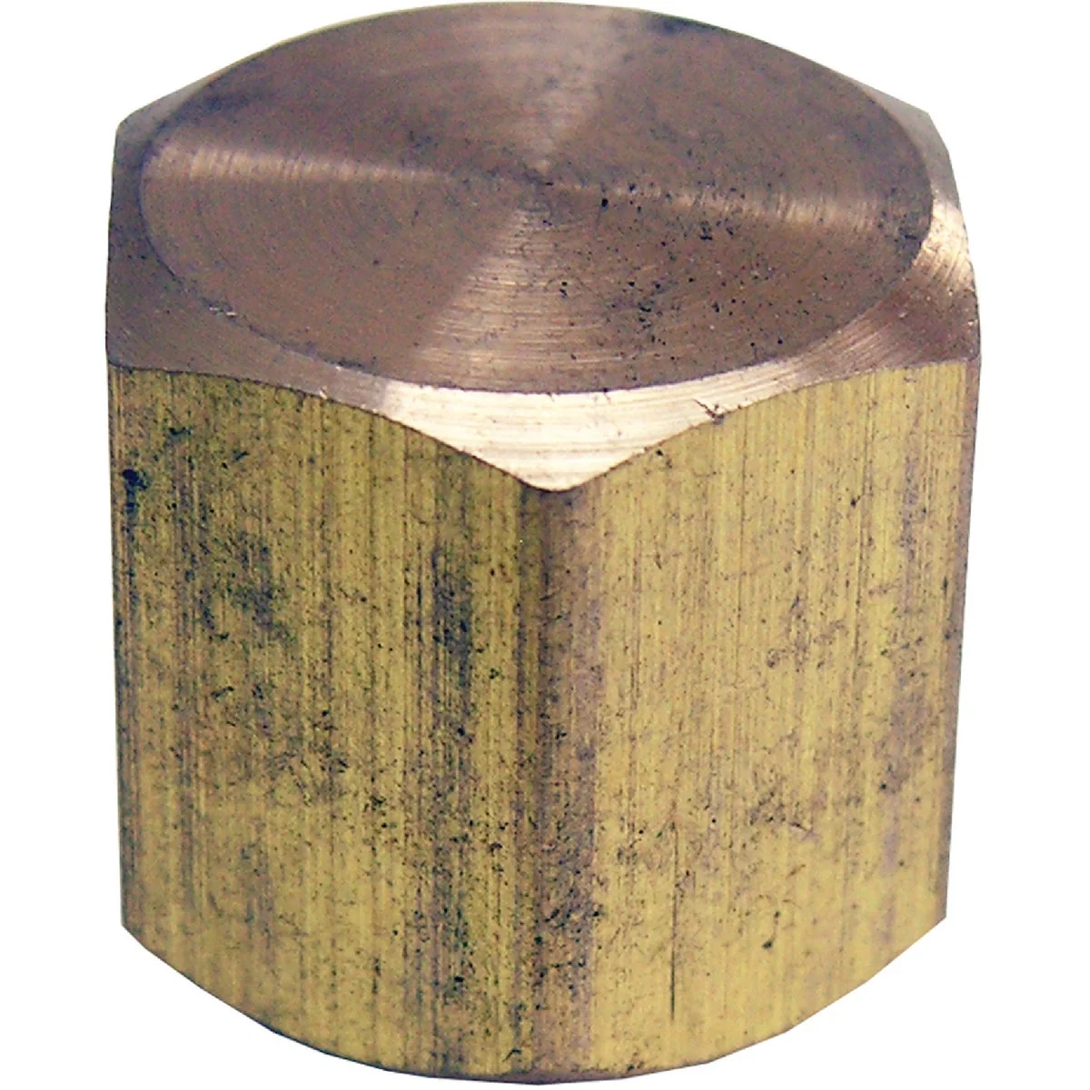 Natural Lasco 1 8 In. Red Brass Threaded Pipe Cap Sophisticated