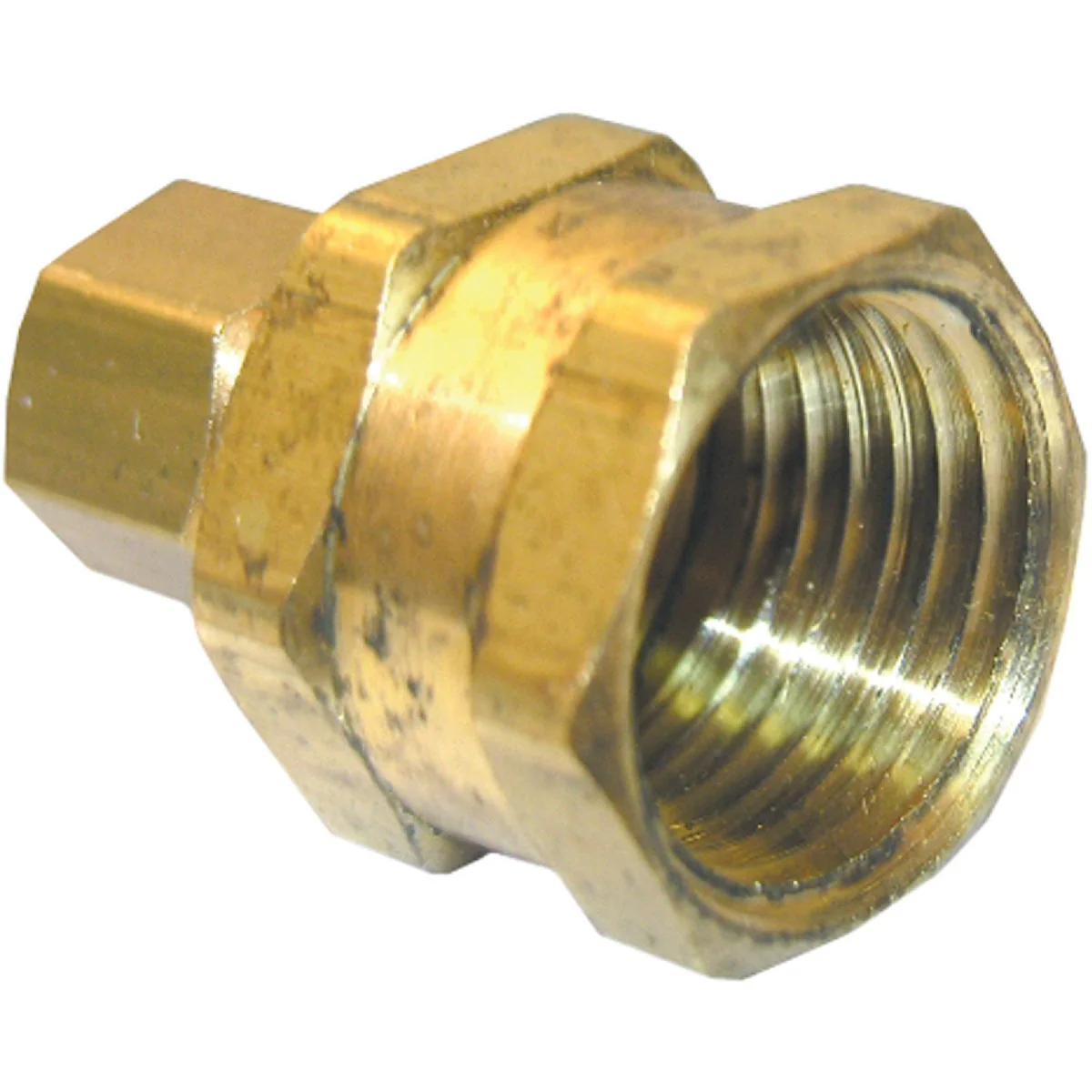 Prestigious Lasco 5 16 In. C x 3 8 In. FPT Brass Compression Adapter Reliable