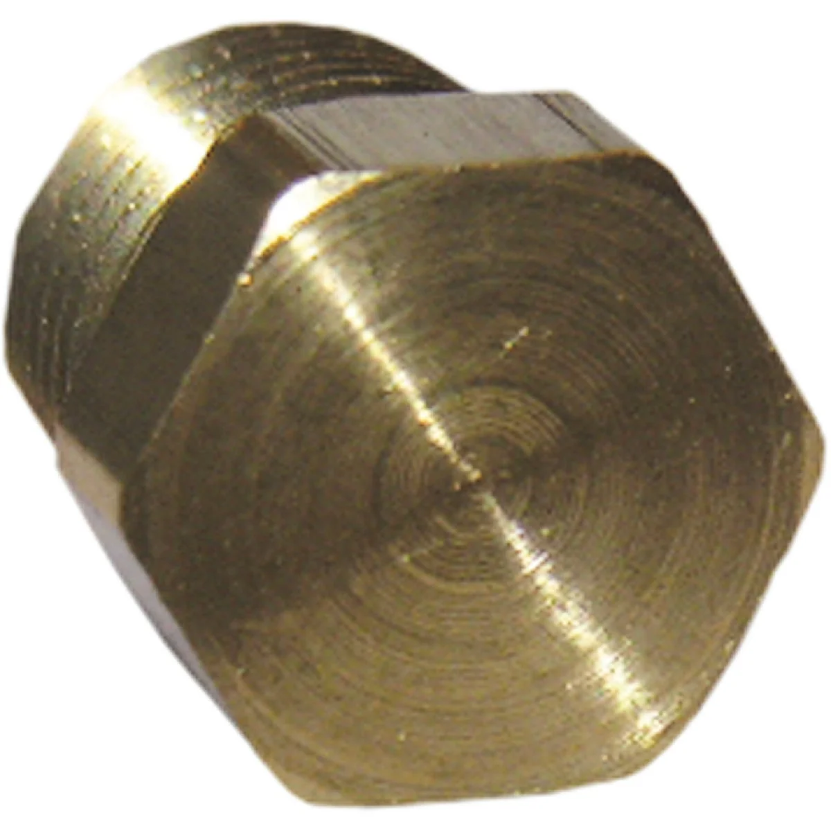 Organic Lasco 1 8 In. MPT Brass Hex Head Plug Genuine