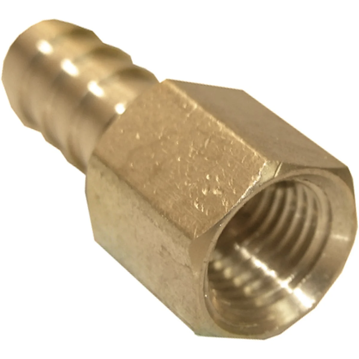 Enhanced Lasco 1 4 In. FPT x 3 8 In. Brass Hose Barb Adapter Minimalist