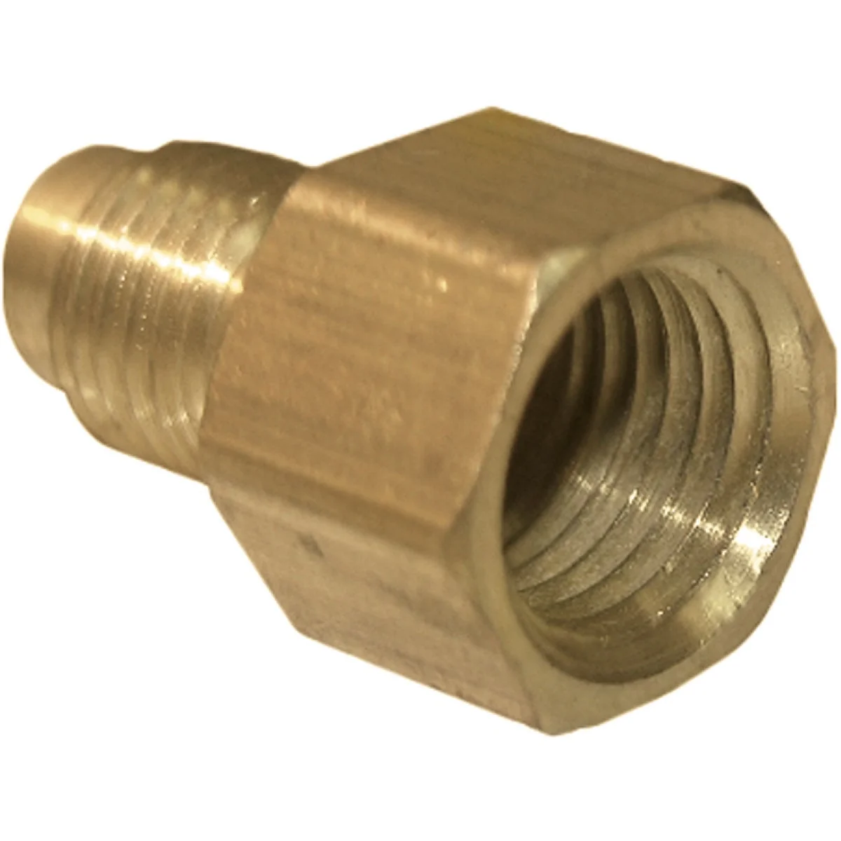 Official Lasco 1 4 In. M x 1 4 In. FPT Brass Flare Adapter High-Performance