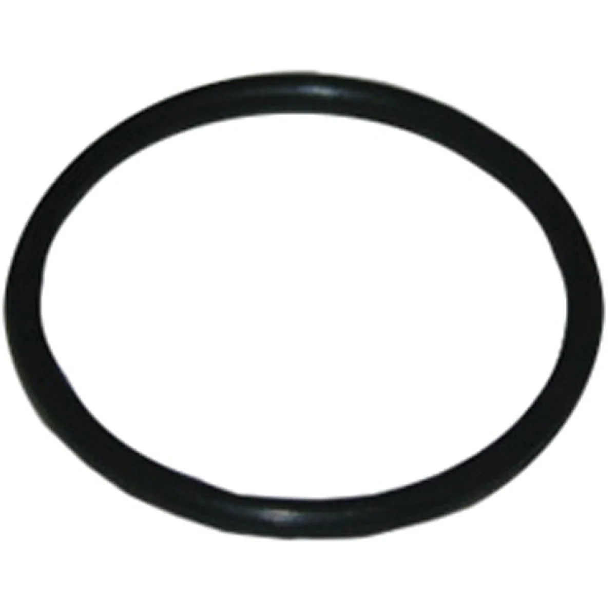 Dependable Lasco 46 7 8 In. x 1 In. O-Ring Verified