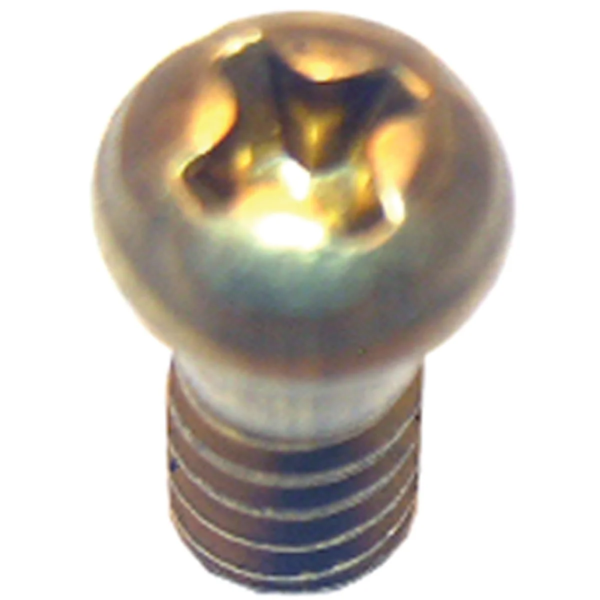 Practical Lasco Round Head 3 8 In. 10 Faucet Screw Functional