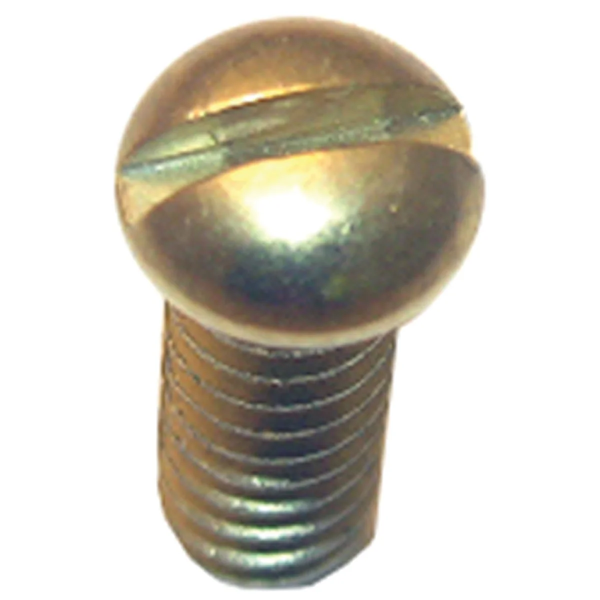 Solid Lasco Round Head 1 2 In. 10 Faucet Screw Functional