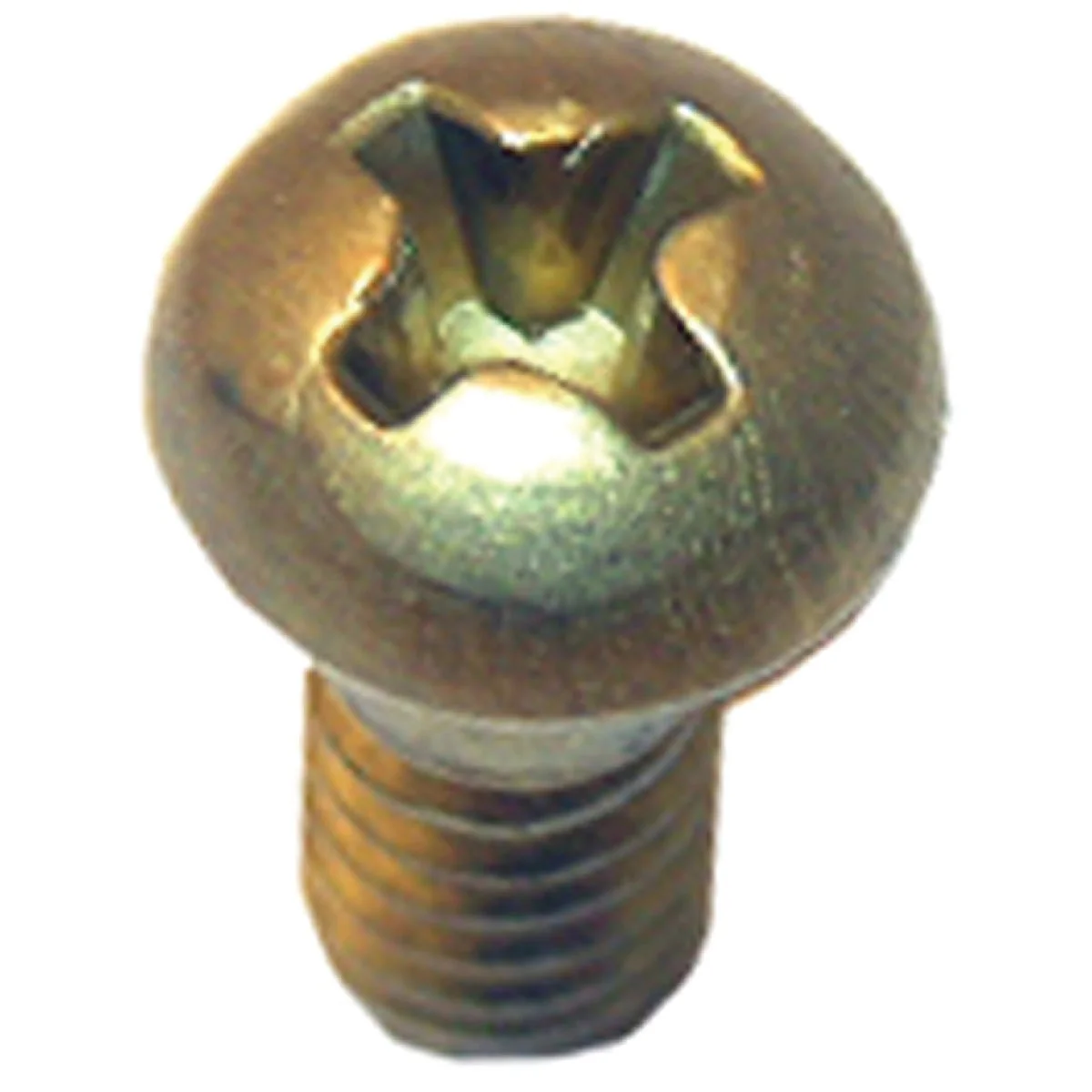 Natural Lasco Round Head 3 8 In. 8 Faucet Screw Minimalist