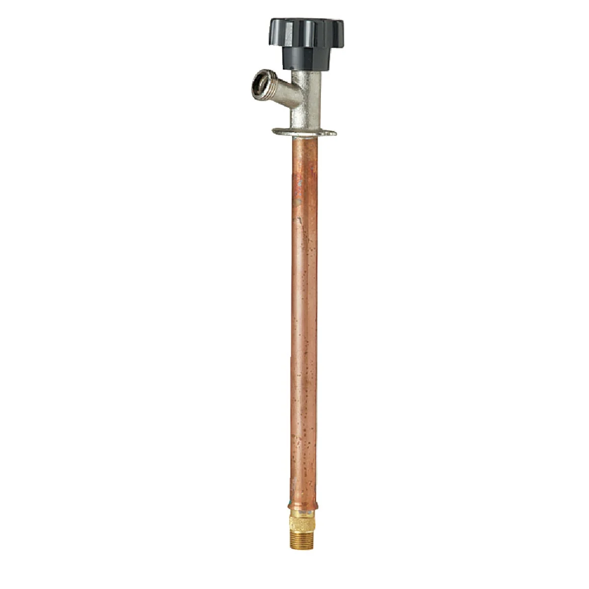 Crafted Prier 1 2 In. SWT x 1 2 In. IPS x 12 In. Frost Wall Hydrant Stylish