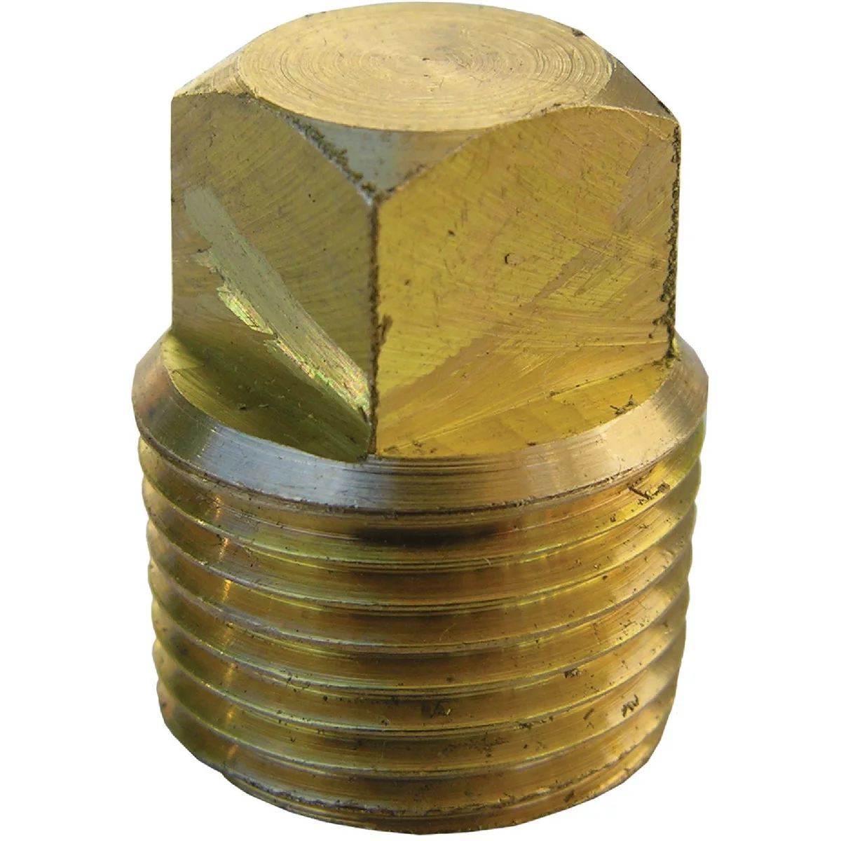 Carefully Designed Lasco 3 8 In. MPT Brass Square Head Plug Crafted