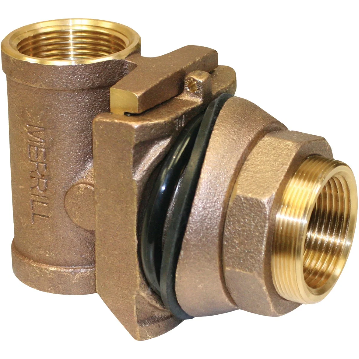 Elegant Merrill 1-1 4 In. x 1-1 4 In. FPT No-Lead Brass Pitless Adapter Trusted