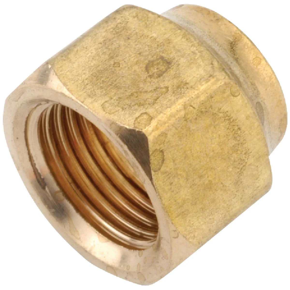 Fast Anderson Metals 3 8 In. Brass Forged Short Flare Nut Verified