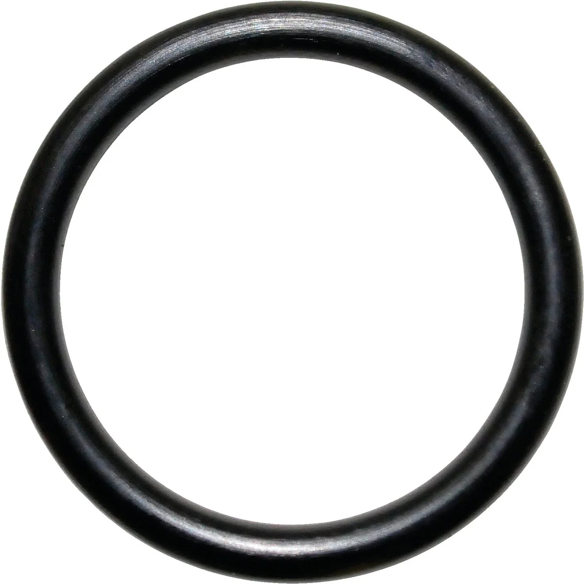 Advanced Danco 35 9 16 In. x 11 16 In. Buna-N O-Ring Prestigious