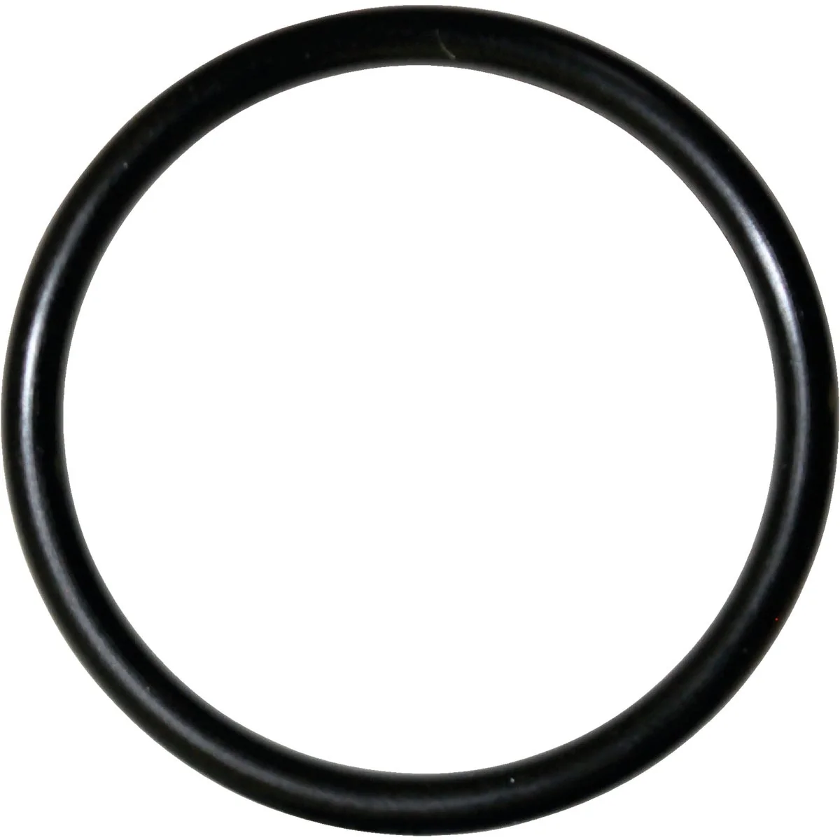 Safe Danco 64 1-1 8 In. x 1-5 16 In. Buna-N O-Ring Contemporary