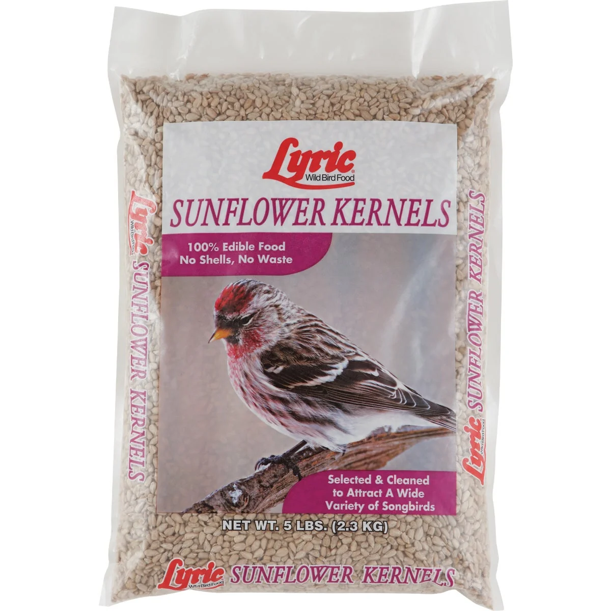 Powerful Lyric 5 Lb. Sunflower Kernels Versatile