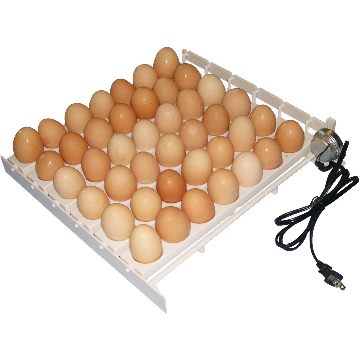 Dependable Farm Innovators 41-Egg Capacity 120V Automatic Egg Turner Trusted