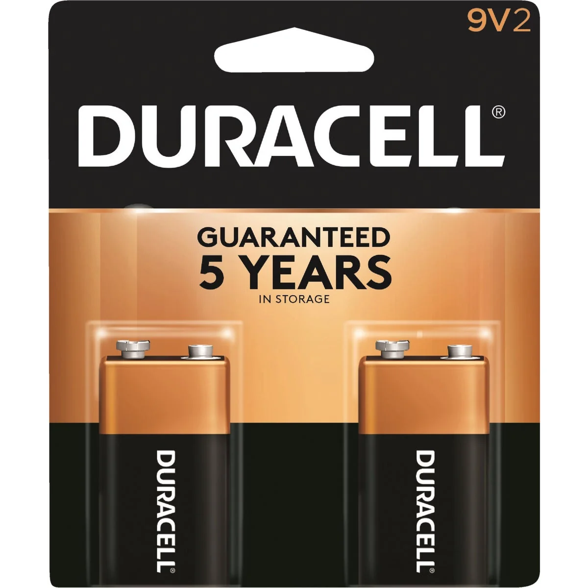 Sustainable Duracell CopperTop 9V Alkaline Battery 2-Pack Organic