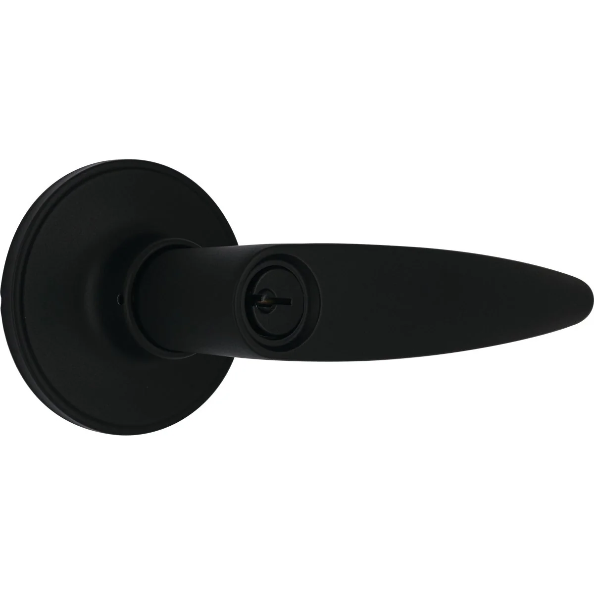 Easy-to-Use Steel Pro Matte Black Straight Entry Lever Sophisticated