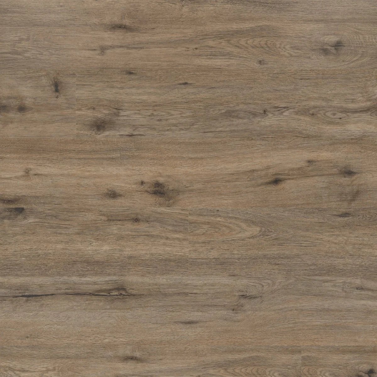 Durable MSI EverLife Cyrus 2.0 Fauna 7 In. x 48 In. Rigid Core Luxury Vinyl Plank 23.77 Sq. Ft. Case Professional