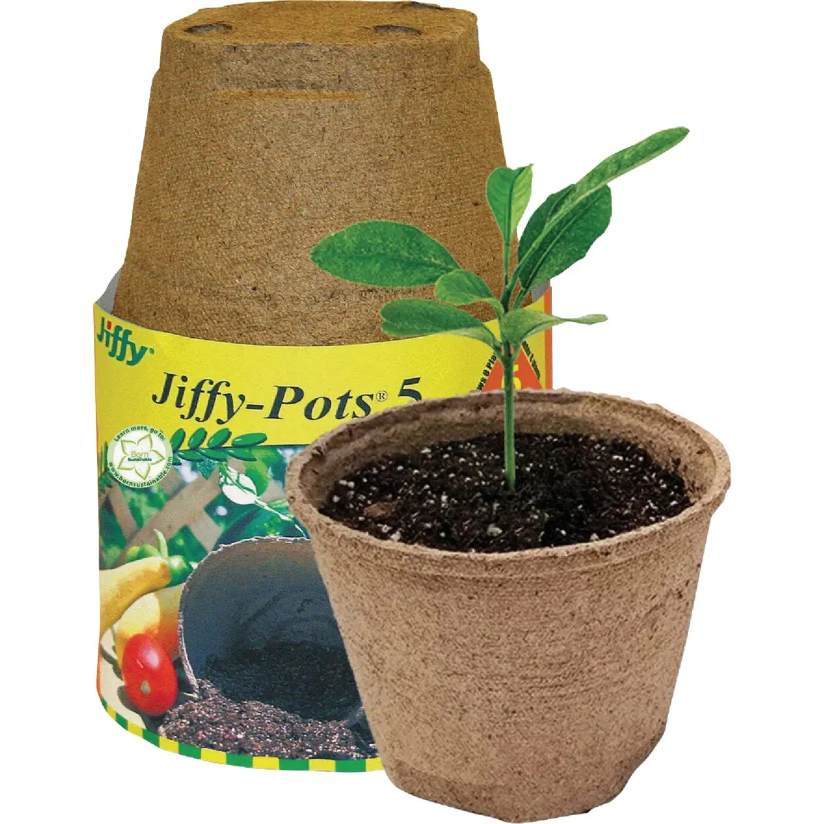 Modern Jiffy 5 In. W. Round Peat Pot 6-Pack First-Class