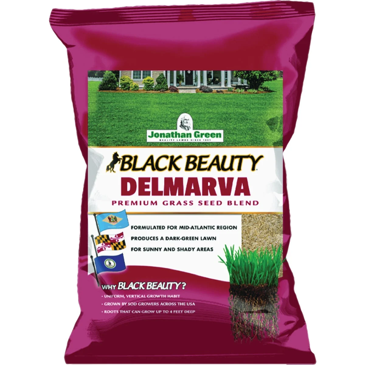 Consistent Jonathan Green Black Beauty Delmarva 3 Lb. 1500 Sq. Ft. Coverage Tall Fescue Grass Seed Authentic