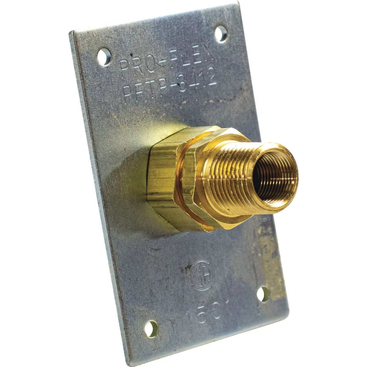 Classic Pro-Flex 3 4 In. Terminiation w Fitting Certified