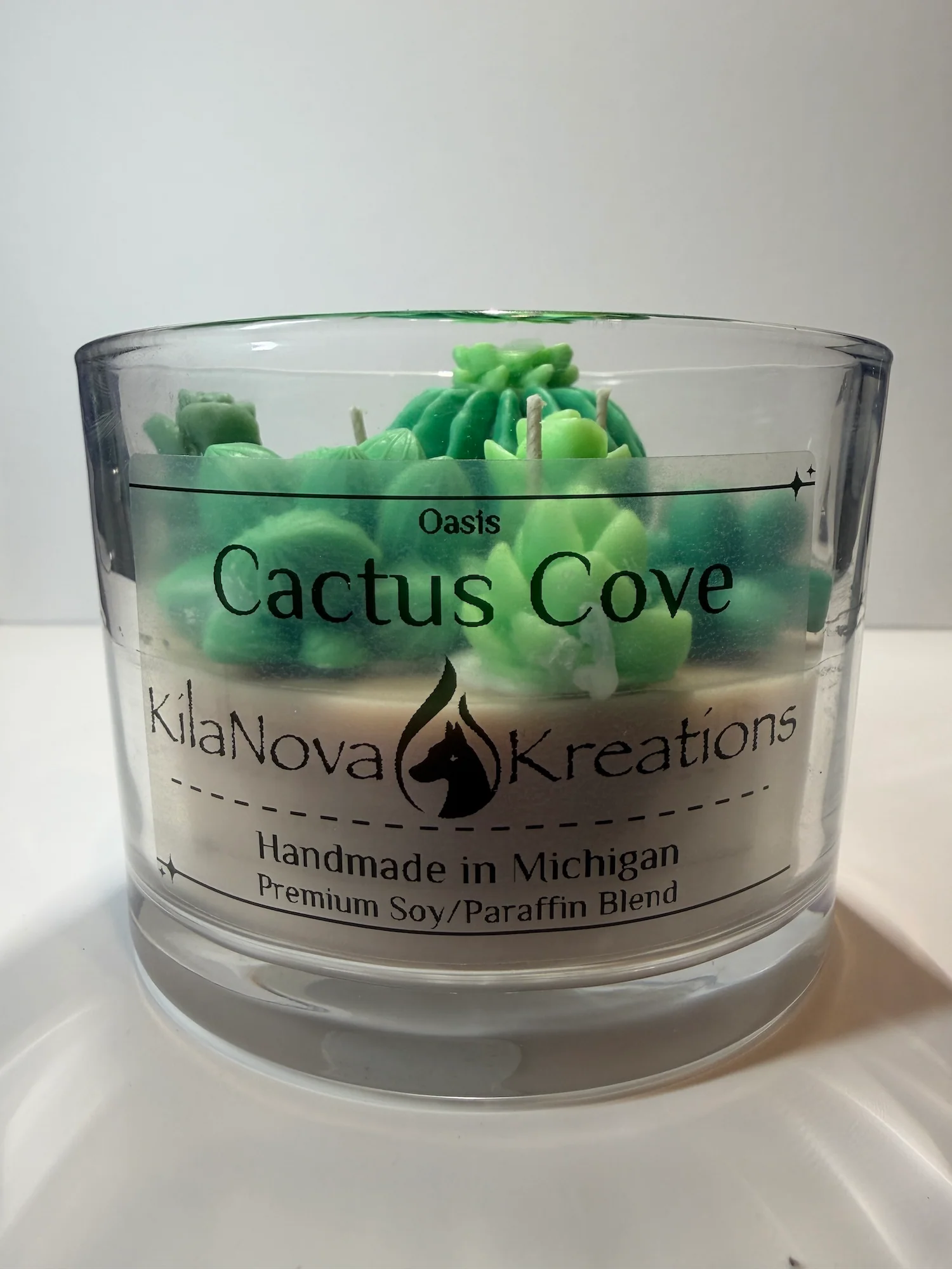 Secure Cactus Cove - Baja Cactus Blossom Classic