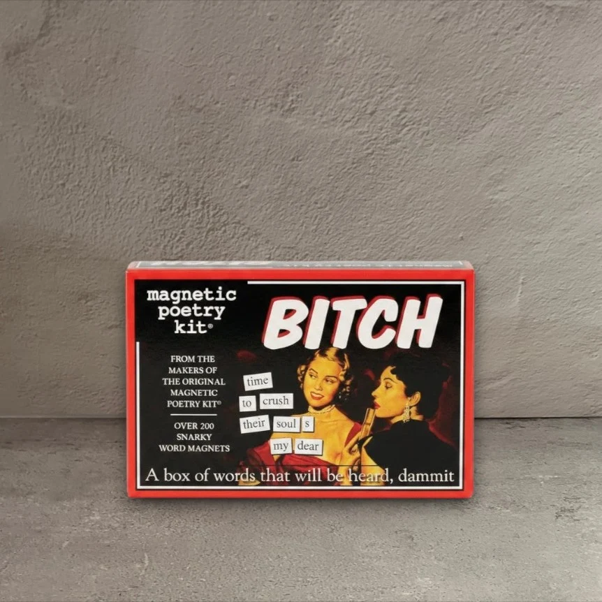 Pure Bitch Magnetic Poetry Kit Efficient