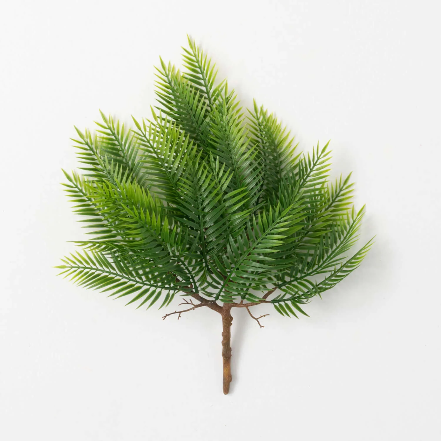 Superior 17 Full Long Fern Bush Effective