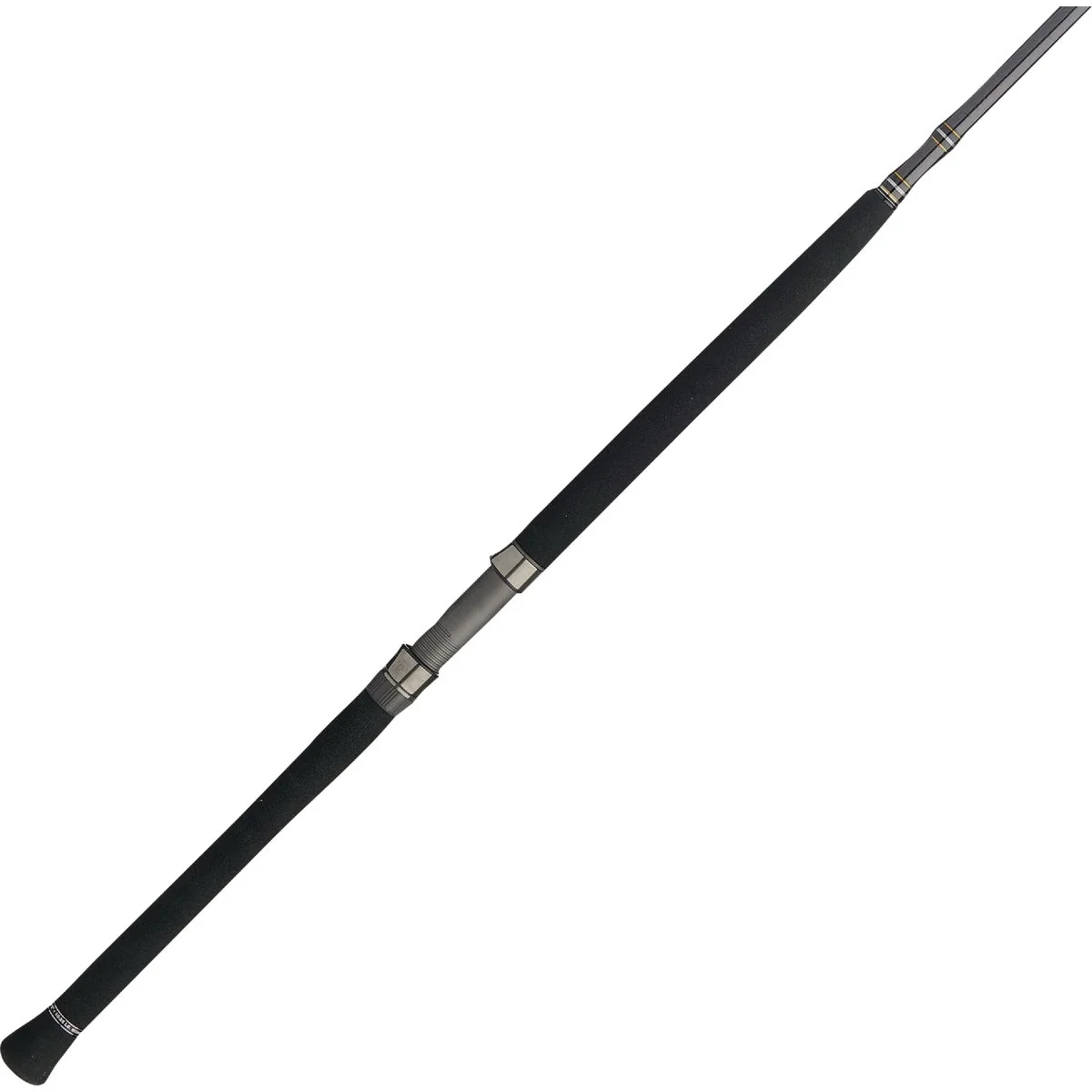 Healthy PENN Carnage III Boat Conventional West Coast Rod Contemporary
