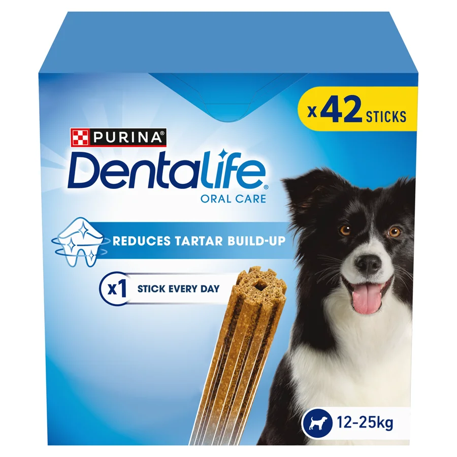 Stylish Dentalife Medium Breed Dog Dental Chew Treat 42 Pack Premium