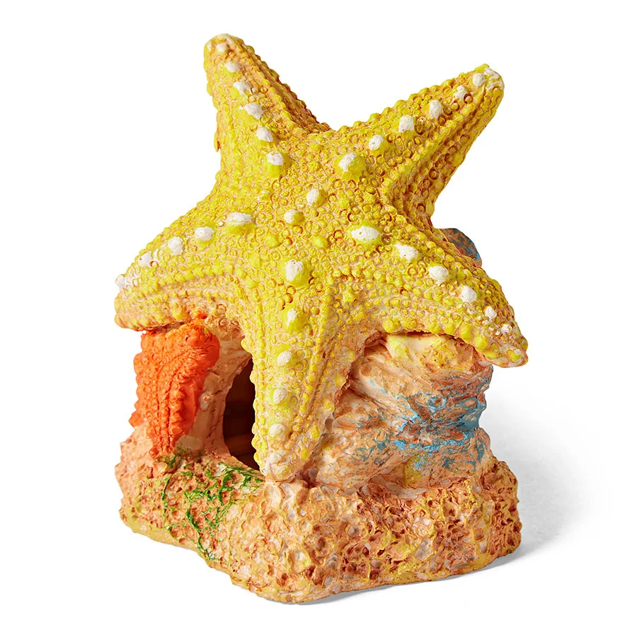 Expertly Made Pets at Home Sea Star Duo Aquarium Ornament Natural
