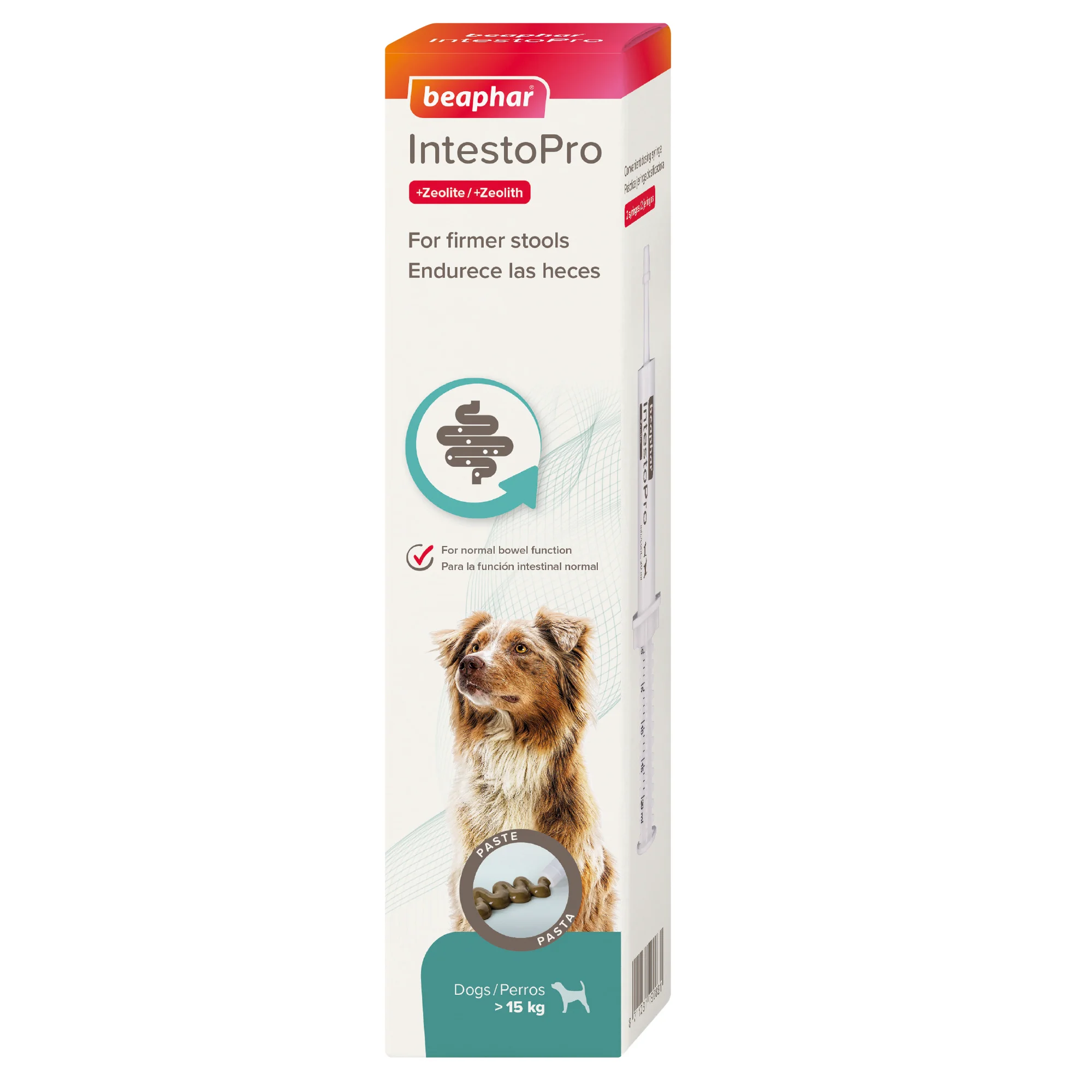Functional Beaphar IntestoPro Stool Firming Paste for Medium Large Dogs gt 15kg 20ml Effective