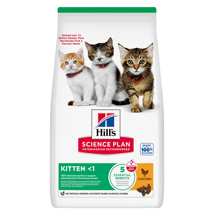 High-Performance Hill x27 s Science Plan Kitten Dry Cat Food Chicken 300g Crafted