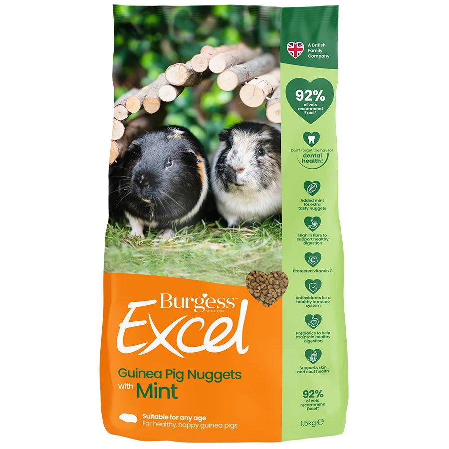 First-Class Burgess Excel Guinea Pig Nuggets with Mint Elegant