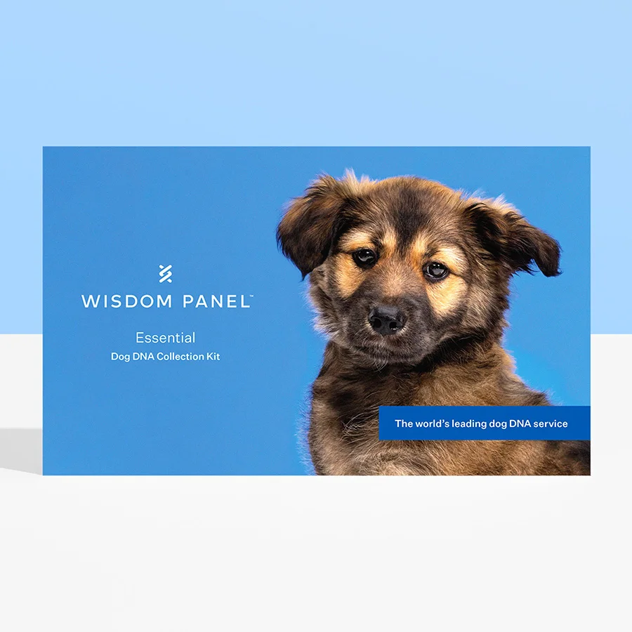 Dependable Wisdom Panel Essential Dog DNA Test Comfortable
